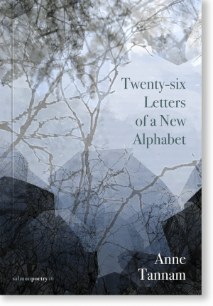 Twenty-Six Letters of a New Alphabet cover