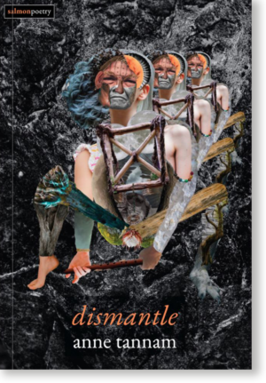 dismantle by Anne Tannam